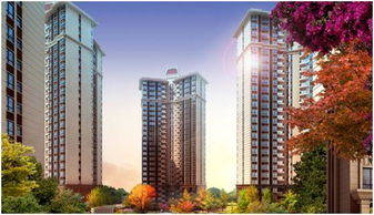 真正的開盤即人海 宜賓高端樓盤如何演繹 典藏型 熱銷