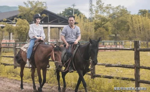 湖州 售樓處電話 最新樓盤動(dòng)態(tài) 售樓處位置 詳情