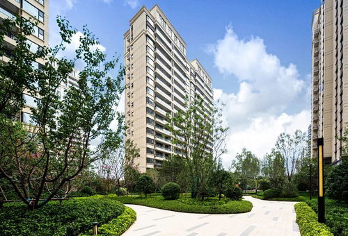 銀豐玖璽城 這個標桿樓盤又一次力證,產品力才是王道