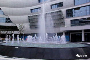 活動播報 眼見為實,看得見的精致 綠林公社精品樓盤考察瀚海專場全程回顧