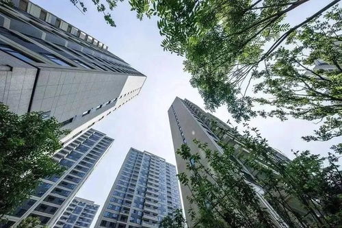 4600套 一個多月時間,這家房企交付了4座新盤