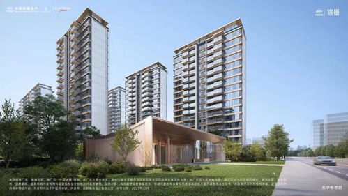 在成都樓市,這個產品 一時無兩