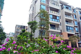 樓市步入產品力時代