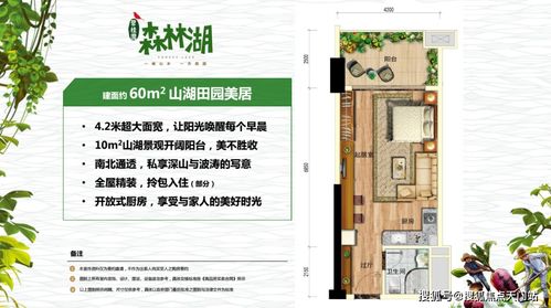 廣東碧桂園森林湖丨惠州碧桂園森林湖歡迎您丨官方網站 樓盤詳情