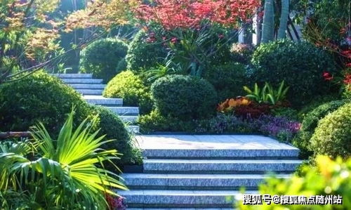 海寧 樓盤詳情 官方網站 千萬別錯過了