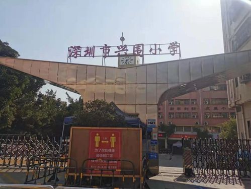 被工廠與農民房包圍的寶安新盤 300萬起，到底香不香？