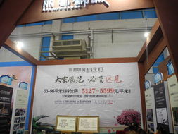 西區房交會盛大啟幕，品質樓盤一覽無余——高清組圖直擊現場